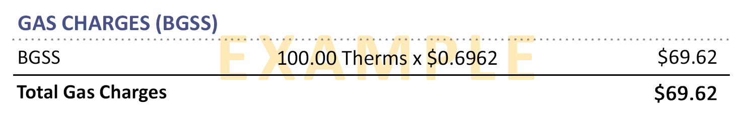 Example Bill showing the Gas Charges(BGGS)