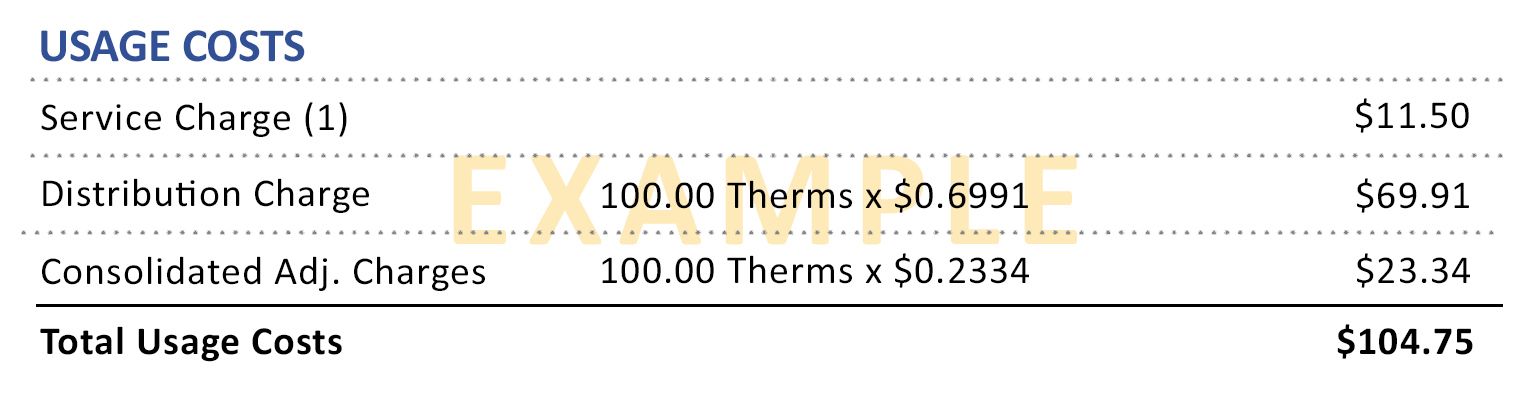 Sample bill showing usage charges
