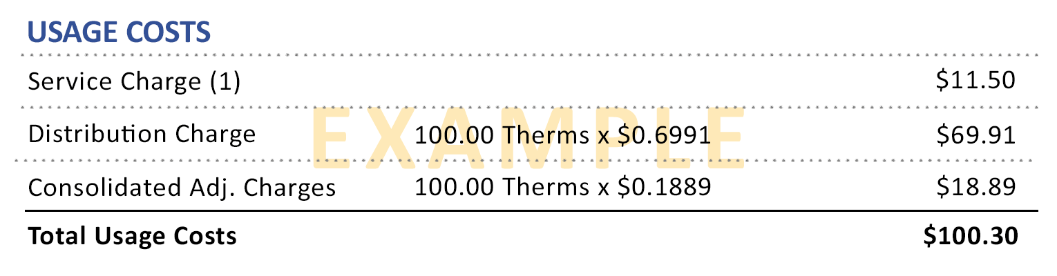 Sample bill showing usage charges