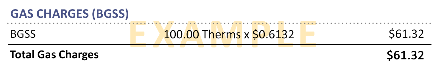 Example Bill showing the Gas Charges(BGGS)