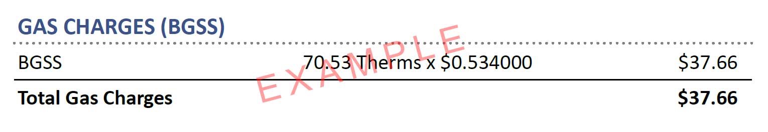 Example Bill showing the Gas Charges(BGGS)