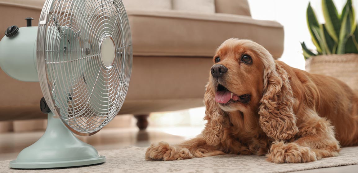 Summer Energy Myths That Cost Homeowners More Than They Realize