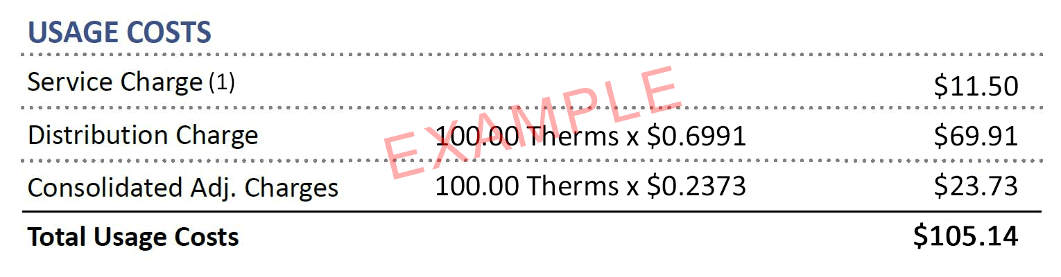Sample bill showing usage charges